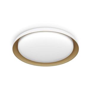 Philips - LED Stmievateľné stropné svietidlo PEBBLO LED/10W/230V 4000K biela 8720169301078 vyobraziť