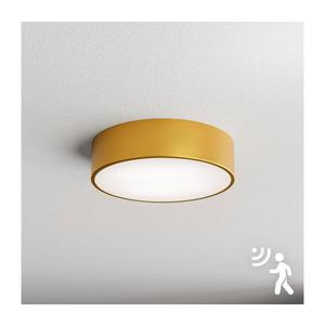 Brilagi - Stropné svietidlo so senzorom CLARE 2xE27/24W/230V pr. 30 cm zlatá 8590828607069 vyobraziť