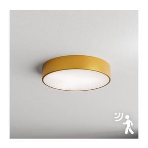 Brilagi - Stropné svietidlo so senzorom CLARE 3xE27/24W/230V pr. 40 cm zlatá 8590828607090 vyobraziť