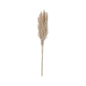 Eglo 428082 - Sušený kvet GUIPOS 85 cm béžová 428082 vyobraziť