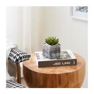 Eglo 428007 - Umelá rastlina v kvetináči CHITOSE 12x7, 5 cm sukulent 428007 vyobraziť