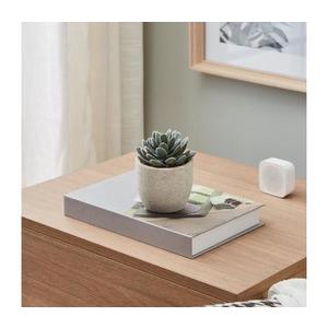 Eglo 428011 - Umelá rastlina v kvetináči CHITOSE 11x8 cm sukulent 428011 vyobraziť