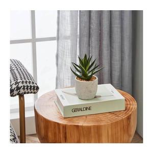 Eglo 428012 - Umelá rastlina v kvetináči CHITOSE 15, 5x10 cm sukulent 428012 vyobraziť