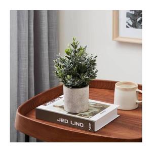 Eglo 428027 - Umelá rastlina v kvetináči CHITOSE 22x16 cm 428027 vyobraziť