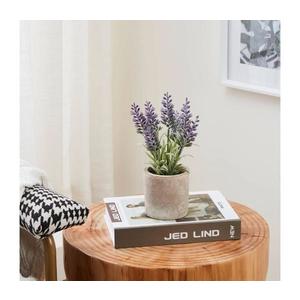 Eglo 428031 - Umelá rastlina v kvetináči CHITOSE 22x8 cm levanduľa 428031 vyobraziť