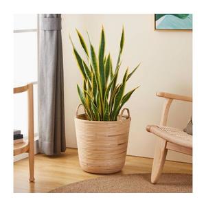 Eglo 426513 - Dekoračný kôš NARAHA 41x36 cm ratan 426513 vyobraziť