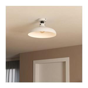 Eglo 43842 - Stropné svietidlo MATLOCK 1xE27/40W/230V 43842 vyobraziť