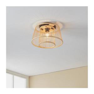 Eglo 43851 - Stropné svietidlo HYKEHAM 1xE27/40W/230V 43851 vyobraziť