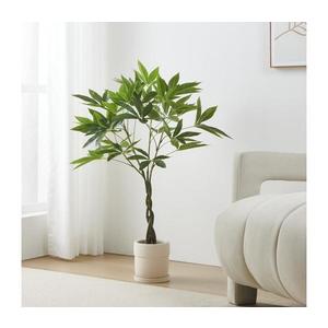 Rastlina v kvetináči vyobraziť