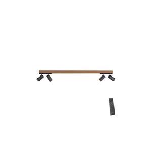 Paul Neuhaus 6121-79 - LED Stmievateľné svietidlo PURE 4xLED/4W/230V + LED/9W + DO 6121-79 vyobraziť