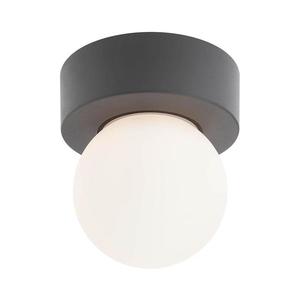 Redo 90641 - Vonkajšie stropné svietidlo BULK 1xE27/28W/230V IP44 antracit 90641 vyobraziť