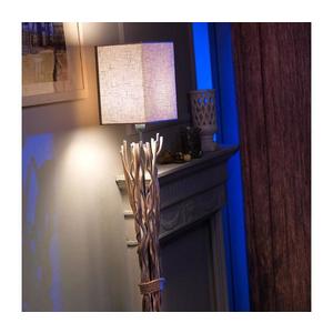 ONLI - Stojacia lampa MARICA 1xE27/22W/230V 4850/PT vyobraziť