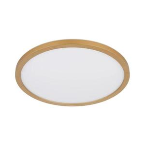 Globo 41562-24MM -LED Stm. kúpeľ. strop. svietidlo SAPANA LED/24W/230V IP44 41562-24MM vyobraziť