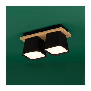 Eglo 390007 - Stropné svietidlo RUSCIO 2xE27/40W/230V čierna/hnedá 390007 vyobraziť