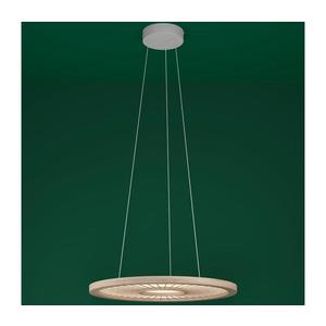 Eglo 390297 - LED Stmievateľný luster na lanku DEHESA LED/36W/230V 4000K 390297 vyobraziť