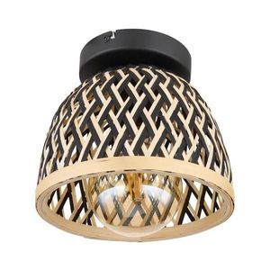 Globo 15767D1 - Stropné svietidlo COLLY 1xE27/15W/230V 15767D1 vyobraziť