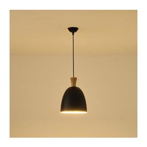 Eurolamp Luster na lanku 1xE27/15W/230V čierna pr. 23 cm 144-24123 vyobraziť