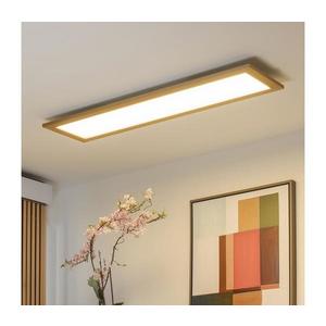 Brilagi - LED Stropné svietidlo SLIMFRAME WOOD LED/58W/230V 124x34 cm hnedá BG1546+EG99424 vyobraziť