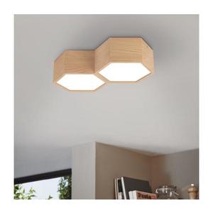 Eglo 98861 - Stropné svietidlo MIRLAS 2xE27/9W/230V 98861 vyobraziť