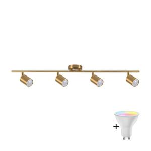 LED RGBW stmievateľné bodové svietidlo GOLDI 4xGU10/6, 5W/230V zlaté SA2171+2xAI2296 vyobraziť