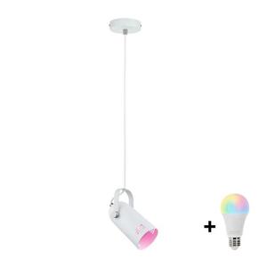 Paulmann 79767 - LED RGBW 1xE27/15W Závesný luster na lanku LAVEA 230V biela W4786+AI1798 vyobraziť