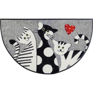 Esposa ROHOŽKA, 50/85 cm, viacfarebná vyobraziť