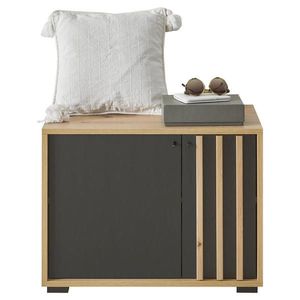 Carryhome LAVICA DO PREDSIENE, 64, 3/47/38 cm vyobraziť