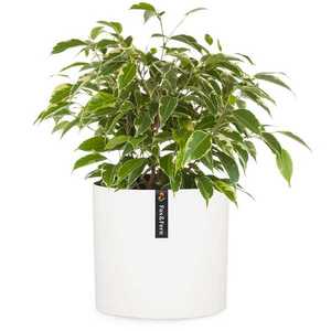 Fox & Fern Venlo, kvetináč, Polystone, interiér a exteriér, 3 veľkosti vyobraziť