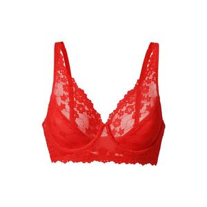 Podprsenka s kosticami vyobraziť