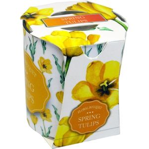 ADMIT - Sviečka v skle Tulips vyobraziť