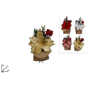 MAKRO - Hviezda vianočná 20cm rôzne farby vyobraziť