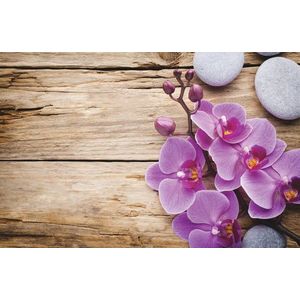 MAKRO - Predložka kúpeľňová 45x70cm Orchidea vyobraziť