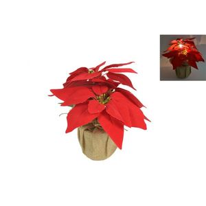 MAKRO - Ruža vianočná led svietiaca 25cm vyobraziť