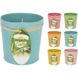 Sviečka Citronela vyobraziť