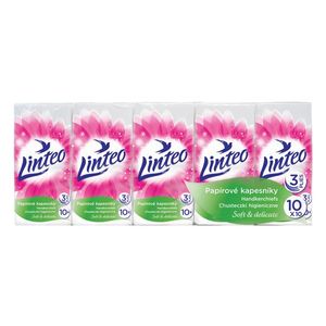 MAKRO - Vreckovky LINTEO SATIN 10x10 vyobraziť