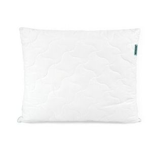 Wendre Vankúš Aloe Soft, 70 x 90 cm vyobraziť