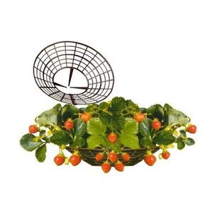 Podložka jahodníka, 10 ks vyobraziť