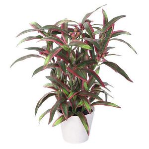 Umelá Aucuba v kvetináči zeleno - fialová, 32 cm vyobraziť