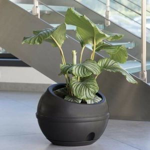 Bama Plastový obal na kvetináč Sfera antracit, 41 x 32 cm vyobraziť