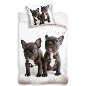 BedTex Bavlnené obliečky Buldoček a Buldoček, 140 x 200 cm, 70 x 90 cm vyobraziť