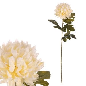 Chryzantéma krémová - umelý rezaný kvet, 73 cm vyobraziť