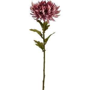 Umelá kvetina Chryzantéma 62 x 18 cm, staroružová vyobraziť