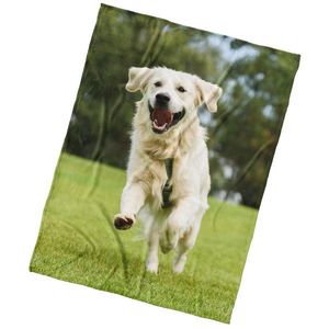 BedTex Deka mikroplyš Pes Zlatý Retriever, 150 x 200 cm vyobraziť
