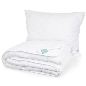 4Home Set prikrývky a vankúša Aloe Premium, 140 x 220 cm, 70 x 90 cm, 140 x 220 cm, 70 x 90 cm vyobraziť