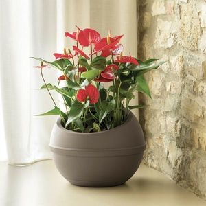 Bama Plastový obal na květináč Sfera cappuccino, 41 x 32 cm vyobraziť