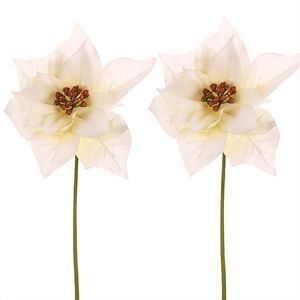 Set vianočná ruža kvet na stonke, 2ks, krémová, 32 cm vyobraziť