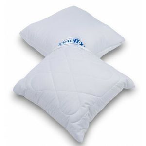 Kvalitex Vankúš Aloe Vera so zipsom 300 g, 40 x 40 cm vyobraziť