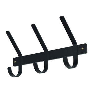 Čierny kovový nástenný vešiak 40 cm Dexter – Spinder Design vyobraziť