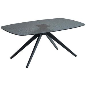 Boxxx KONFERENČNÝ STOLÍK, čierna, kov, sklo, 110/70/44 cm vyobraziť