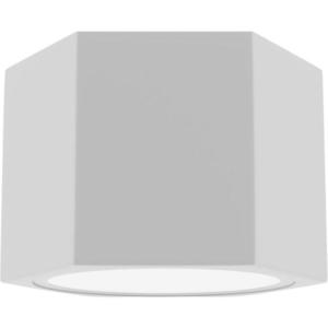 STROPNÉ BODOVÉ SVIETIDLO, 12/8 cm vyobraziť